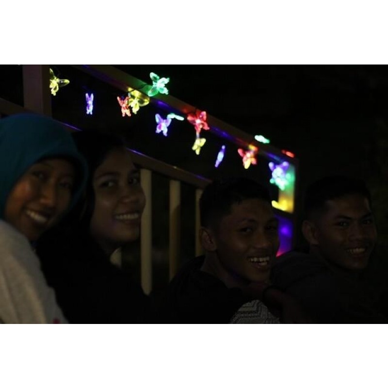 Aurora Solar Party Lichterkette mit 50 bunten LED-Schmetterlingen