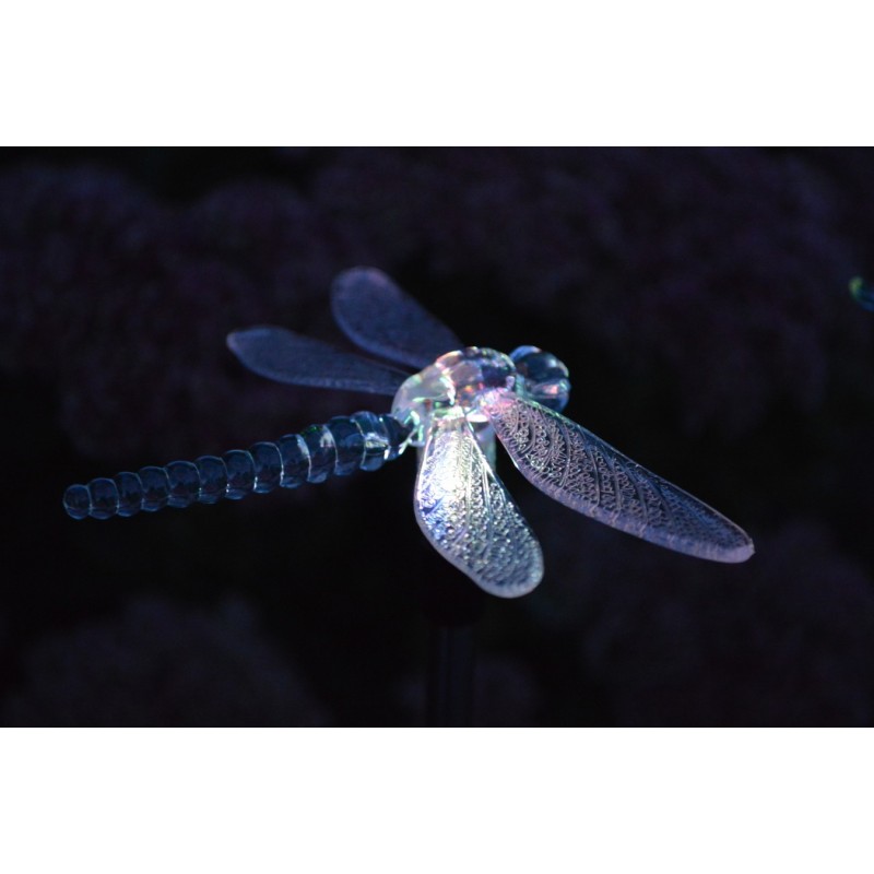 Farbwechselnde LED Solar Leuchtfiguren (Schmetterling/ Libelle/ Kolibri)