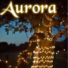 AuroraPROSolarLichterkette100LEDWarmwei-22