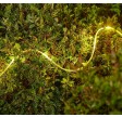 Omira Solar-Schlauchlichterkette (10m, Warmweiß)
