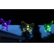 Aurora Solar Party Lichterkette mit 50 bunten LED-Schmetterlingen