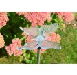 Farbwechselnde LED Solar Leuchtfiguren (Schmetterling/ Libelle/ Kolibri)